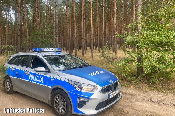 Zadbaj o swoje bezpieczeństwo w lesie !