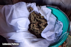 Ukrywał się przed wymiarem sprawiedliwości. Policjanci zatrzymali 34-latka i zabezpieczyli narkotyki